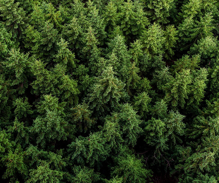 sustainable